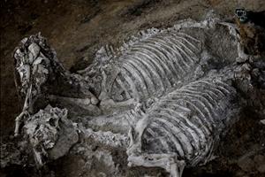 Archeological excavations near the village of Karanovo, Bulgaria | photo: Ladislav Tsvetkov