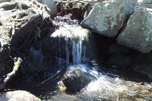 Climate change will lead to scarcity of drinking water | photo: Adelina Marini | www.euinside.eu