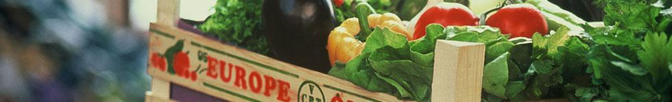 The Common Agricultural Policy The Common Agricultural Policy