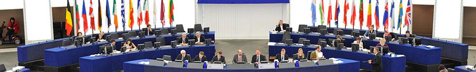 European Parliament on your webSIDE European Parliament on your webSIDE
